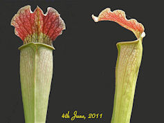 S. 'Uncle Jim's Road 1' - MK H